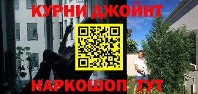 прущие грибы Усть-Илимск